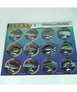 Pogs Sharks Whales Dolphins Custom Caps Sealed On Card NEW - £15.50 GBP