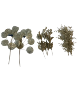 Assorted Gold Floral Stems Picks Pilea Bamboo Leaves Glitter Decor Craft... - $376.79 MXN