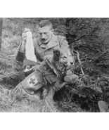 British soldier retrieving bandages from Red Cross dog World War I 8x10 ... - £6.97 GBP