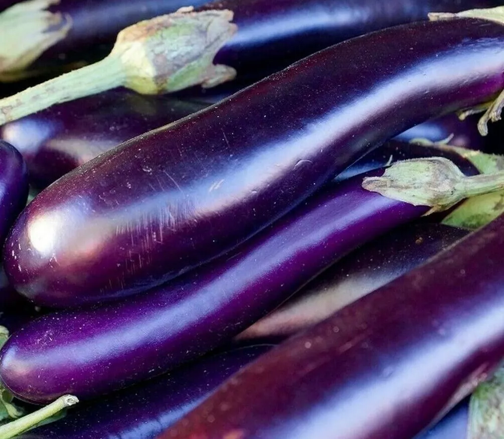 BPASTORE 100 Long Purple Eggplant Vegetable Garden Buy Seeds Online - £7.64 GBP