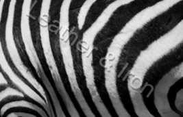 Zebra Pattern Design Vinyl Checkbook Cover Zebra  - £7.01 GBP