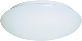 Sea Gull 5905BLE-15 Ceiling Light - $89.96