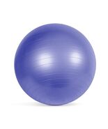 Fitness Anti-Burst Stability &amp; Pregnancy Ball, 65Cm, Purple - $24.66