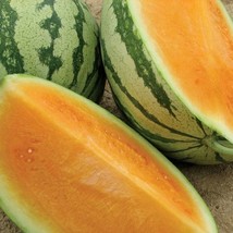 New Tendersweet Watermelon Seed Orange Flesh Melon Seeds Fresh USA Garden - $12.78