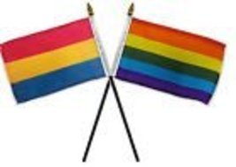 AES Gay Pride Rainbow &amp; Pansexual Flags 4&quot;x6&quot; Desk Set Table Black Base - £5.14 GBP