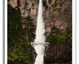 Multnomah Falls and Foot Bridge Columbia River Oregon OR WB Postcard N19 - £1.54 GBP