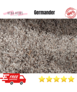 Premium Organic dried Germander Teucrium tea herb Mountain montanum عشبة... - $18.60+