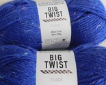 Big Twist Fleck Pool Party lot of 2 Dye lot CNE1234023 - £10.38 GBP