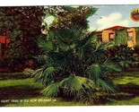 A Court Yard in Old New Orleans Louisiana Postcard 1911 - £8.51 GBP