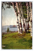 Birches Along Beach Wequetonsing Michigan MI UNP DB Postcard W18 - £3.12 GBP