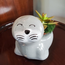 Seal Planter with Live Succulent, Stanley the Seal, Animal Planter Plant Pot image 2