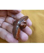 Y-BEE-564) Red Rainbow Jasper Bee BUMBLE figurine gemstone stone love HO... - €17,16 EUR