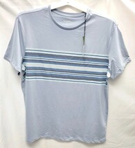 Men's Short XL Short Sleeve T-Shirt Foggy Blue Stripe Cotton Goodfellow & Co image 2