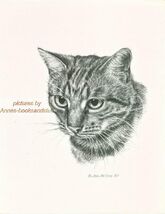 #259 TABBY CAT portrait cat art print * Pen and ink drawing by Jan Jellins - $12.50