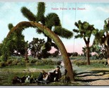 Man Sitting Under Yucca Palms In Desert California UNP Unused DB Postcar... - $9.00