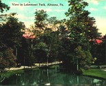 View in Lakemont Park Altoona Pennsylvania PA 1913 DB Postcard - $3.91