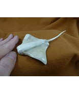 (MANTA-W5) Manta ray shed ANTLER figurine Bali detailed carving Mobula rays - £73.91 GBP
