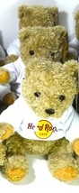 Hard Rock Cafe 2 Bear  Classic Hoodie Plush Collectible New with tag - £199.58 GBP