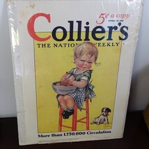 1929 Little Girl Cutting an Onion COLLIER&#39;S MAGAZINE COVER VINTAGE POSTE... - €20,75 EUR