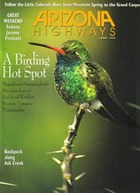 1999 June Arizona Highways Prehistoric Indians Big Bang Little Colorado Birding - £20.44 GBP