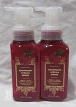 Bath &amp; Body Works Gentle &amp; Clean Foaming Hand Soap Set 2 Champagne Apple &amp; Honey - £18.69 GBP