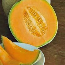 Il 700x700.1725759294 fz7f thumb200