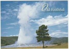 Postcard Old Faithful Geyser Yellowstone National Park Wyoming Unused - £5.51 GBP