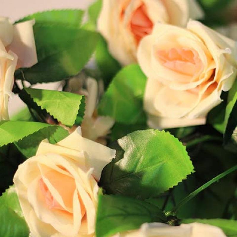 Champagne Climbing 44 Rose Bush 50 Or 100 Heirloom Seeds - Seeds & Bulbs