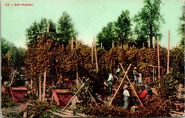 Vtg Postcard 1920s Hop Picking California - Ed Mitchell Pub - Unused - £2.92 GBP