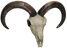 Sculpture Ibex Skull Wall Mount Ebony Ivory Black Resin - £159.56 GBP