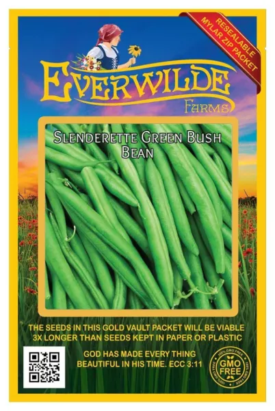 100 Slenderette Green Bush Bean Seeds Farms Seed Packet Fresh New - $8.50