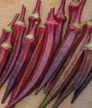 55 Seeds Okra RED BURGUNDY AAS Winner Edible Flowers &amp; Fruit 6-8&quot; Pods Jambalaya - £9.63 GBP