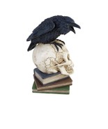 Alchemy Gothic V17 Poes Raven Skull Desk Ornament Vanity The Vault Poe 8” - $1,000.33 MXN