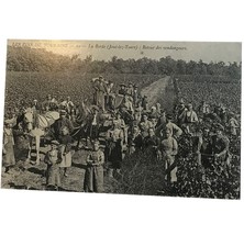 Vintage Postcard, Les Vins de Touraine, 29, La Borde (Joue-lez-Tours), France - £7.81 GBP