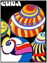 2358.Colorful Cuba Polymitas shell Poster.Room Home Interior design wall art - £12.70 GBP+