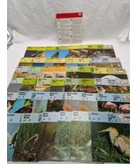 Lot Of (41) 1975 Rencontre Birds II Education Cards - $24.75