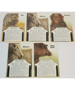 Five Vintage Chinese Astrology Postcards - $13.75 CAD