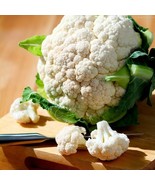 1/4 Oz Cauliflower Seeds Snowball Y Improved Seeds Bulk Seeds 2000Ct Fas... - $313.23 MXN