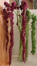 Fresh dry dried hanging ( red ) Amaranthus filler wedding arrangements,f... - £131.47 GBP
