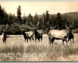 RPPC Wild Alce Prairie Creek Stato Park Redwood Highway California Ca Ca... - $5.07