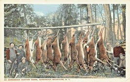 Adirondack Mountains Ny ~ An Adirondack Reindeer Hunting Scene ~ Postcard-
sh... - £12.13 GBP