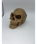 Skull Resin 5” x 7.5 Inches Realistic Looking - $38.61