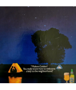 1986 Molson Golden Beer Advertisement Brewery Vintage Night Sky Stars DWF24 - €21,45 EUR