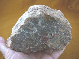 (DF844-165) 3 Lb Fossil Real Dinosaur Poop Coprolite Dino Valley Utah Dung Scat - £57.71 GBP
