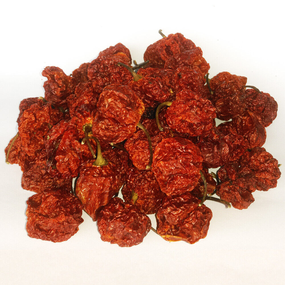 7 Pot Brain Strain Dried Pods - Premium Quality Chili, Amazing Taste! VERY HOT! - $18.14 - $135.48