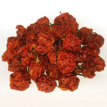 7 Pot Brain Strain Dried Pods - Premium Quality Chili, Amazing Taste! VERY HOT! - £14.44 GBP+