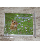 LEANIN TREE A Note of Thanks~Chipmunk~#35667~Pack of 8 Notecards~Colorfu... - £6.10 GBP