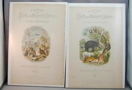 2 Antique Title Pages Earth &amp; Animated Nature London Fabulous Animal Gra... - $25.00