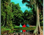 Du Sud Belles Among Cypress Arbres Jardins Fl 1958 Chrome Carte Postale I8 - $3.02