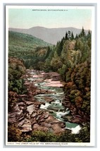 Ammonosuc River Lower Falls White Mountains NH Detroit Publishing Postcard C19 - $3.51